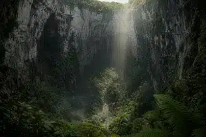 À 626 mètres sous terre, une forêt cachée mise au jour dans le gouffre céleste chinois Xiaozhai Tiankeng : elle abrite des espèces rarissimes