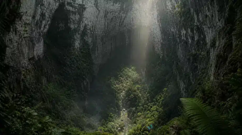 À 626 mètres sous terre, une forêt cachée mise au jour dans le gouffre céleste chinois Xiaozhai Tiankeng : elle abrite des espèces rarissimes