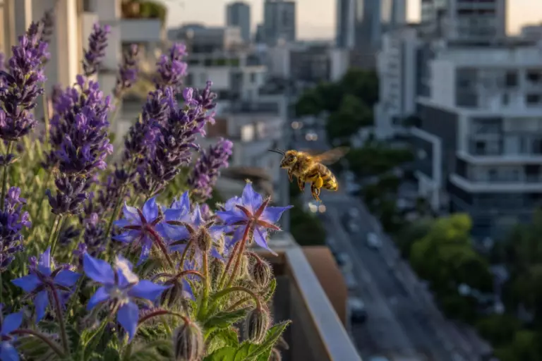 Biodiversité : les abeilles sauvages diminuent de 25 % dans les zones urbaines