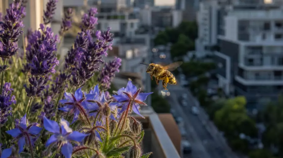 Biodiversité : les abeilles sauvages diminuent de 25 % dans les zones urbaines