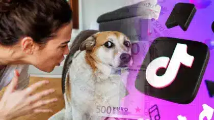 Défi TikTok que des millions de maîtres reproduisent chez eux n’a rien d’inoffensif : les signaux de stress que votre chien envoie et que personne ne remarque