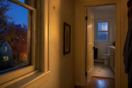 Des araignées apparaissent chez vous à l’automne : ce que leur présence révèle vraiment sur votre maison