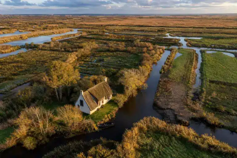 En Brière, des fossés creusés il y a près de 200 ans transforment encore les paysages : les terres basses s’enfoncent