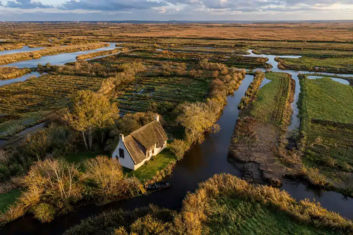 En Brière, des fossés creusés il y a près de 200 ans transforment encore les paysages : les terres basses s’enfoncent