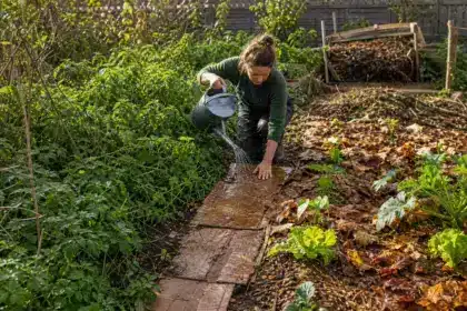 En une matinée, il récupère un potager envahi par les mauvaises herbes : « Cette astuce m’a évité de repartir de zéro »