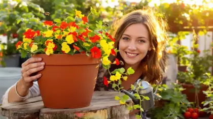 Fini les roses et les hortensias : cette fleur oubliée s’impose dans les jardins en 2026