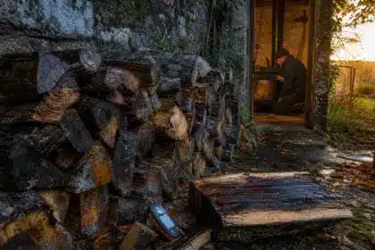 Il a laissé son bois empilé contre le mur nord pendant deux étés pour qu’il sèche : au premier feu de novembre, le ramoneur a immédiatement remarqué le problème