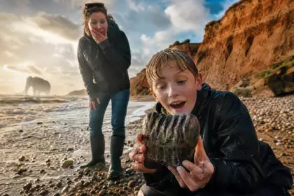 Il trouve une molaire fossile vieille de près de 2 millions d’années alors qu’il se promenait sur la plage avec sa mère