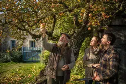 Ils achètent une maison en 2011 et veulent abattre le vieux pommier du fond du jardin : treize ans plus tard, un pépiniériste leur apprend ce qu’il vaut vraiment