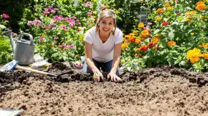Jardin en mai : 7 fleurs annuelles, comme les cosmos et zinnias, pour combler les trous vite