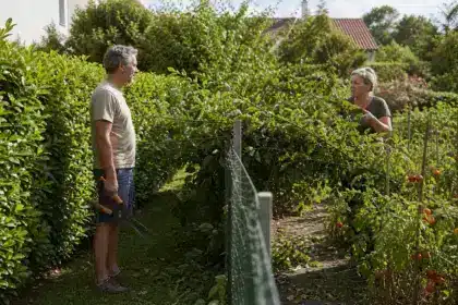 Les jardiniers se fatiguent à le rappeler : la moitié de haie que le voisin ne coupe jamais ne demeure pas longtemps chez lui