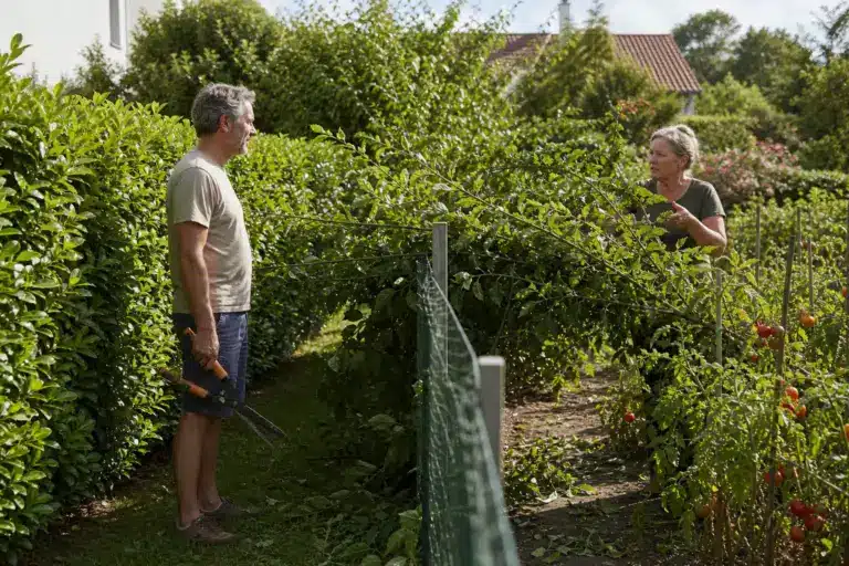 Les jardiniers se fatiguent à le rappeler : la moitié de haie que le voisin ne coupe jamais ne demeure pas longtemps chez lui