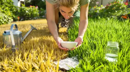 Les jardiniers sont invites a saupoudrer leur pelouse d’un produit de bain a 1 € pour doper la pousse de l’herbe avant l’ete