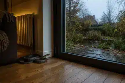 L’hiver arrive : attention à ces serpents aquatiques dans votre salon, voici comment les éviter