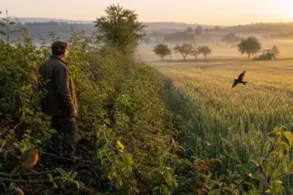 Marc, agriculteur dans l’Ouest : « Le champ était nu et battu par le vent », ce qui a changé depuis qu’il a replanté ses haies