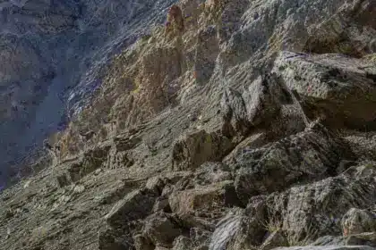 Saurez-vous repérer la panthère des neiges cachée dans cette photo devenue virale ?