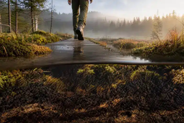Sous les pas des randonneurs du Jura, un sol gorgé d’eau stocke depuis des millénaires plus de carbone que toutes les forêts de la planète