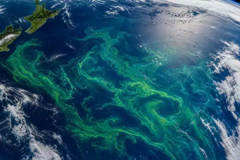 Une immense tache verte apparue au sud de la Nouvelle-Zélande et photographiée depuis l’espace : la NASA dévoile une efflorescence de phytoplancton sculptée par le relief sous-marin