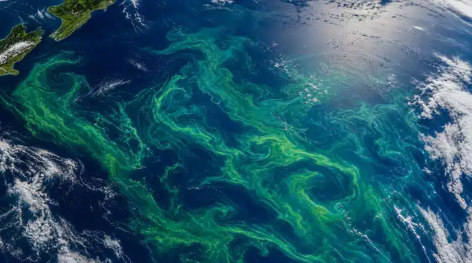 Une immense tache verte apparue au sud de la Nouvelle-Zélande et photographiée depuis l’espace : la NASA dévoile une efflorescence de phytoplancton sculptée par le relief sous-marin